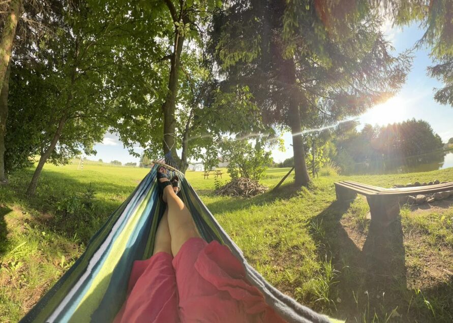 449131894_961447142440330_220960042793189846_n