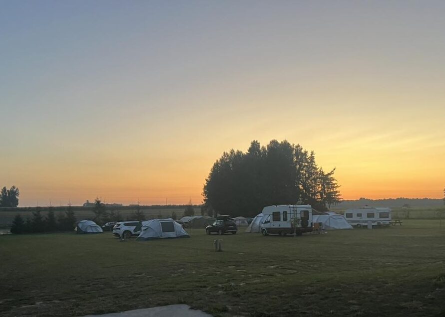 455771405_994660255785685_465794526402323273_n