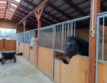 419337060_122102811926185233_4276674630857523825_n 419337060_122102811926185233_4276674630857523825_n