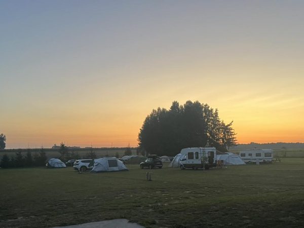 455771405_994660255785685_465794526402323273_n