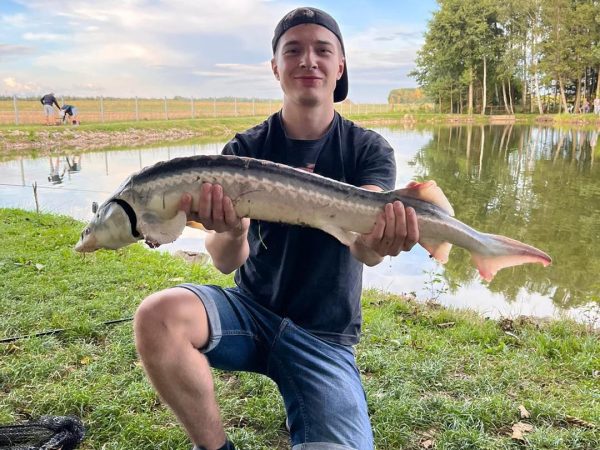 łowisko wędkarskie jesiotr