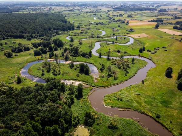 rzeka wieprz, lubelskie, lato