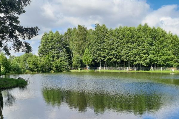 b9e1ff04-5033-42a9-af6b-1caf6020744f